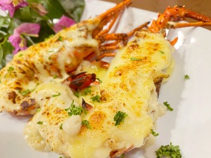 【贅沢】ミカンの生搾りジュース体験［伊勢海老ランチ付き］