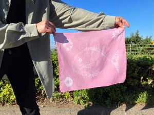 ツワブキ染め体験