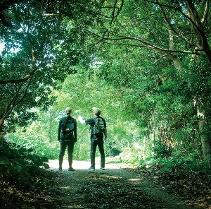 ［宿泊プラン］ガイド付き佐田岬トレイルツアー