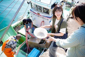 伝統漁法 しらす漁体験【漁体験のみ】2026