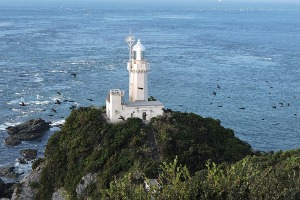 佐田岬バードウォッチングツアー 大スペクタクルのヒヨドリの渡りを見る　ー佐田岬灯台ー